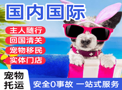 重庆国际宠物托运 【国